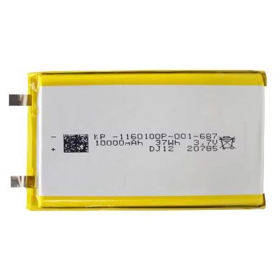 10000mAh Lithium-Ion Battery